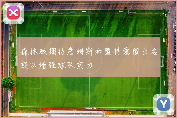 森林狼期待詹姆斯加盟特意留出名额以增强球队实力